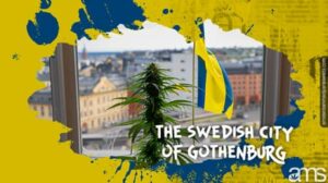 İsveç'in Yeşil Sınırını Keşfedin: Esrar, CBD ve HHC'de Gezinme