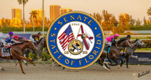 Senator Florida Mengusulkan RUU untuk Mengizinkan Perluasan Fasilitas Parimutuel