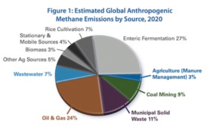 Reverdecer los pastos: el plan de Canadá para frenar las emisiones de metano de los eructos del ganado