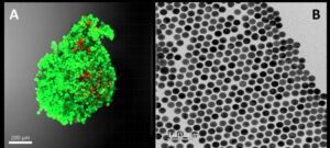 Aproveitando a nanotecnologia para entender o comportamento do tumor