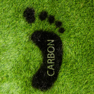 Slik begrenser du karbonavtrykket ditt med karbonoffsets