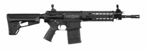 India aprueba la adquisición de rifles SIG716 adicionales
