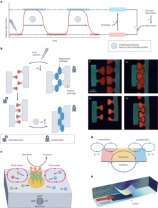 Interlinking spatial dimensions and kinetic processes in dissipative materials to create synthetic systems with lifelike functionality - Nature Nanotechnology