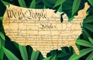 האם איסור פדרלי על מריחואנה אינו חוקתי כעת כאשר מדינות אישרו קנאביס?