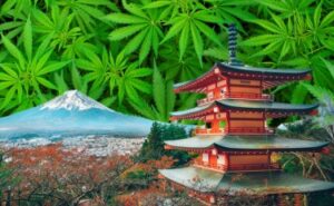 Japão rasgando lentamente o band-aid de cannabis - Remédios de cannabis agora, tudo bem, fume maconha por diversão e vá para a prisão por 7 anos