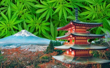 יפן קורעת לאט את פלסטר הקנאביס - תרופות קנאביס עכשיו בסדר, תעשן גראס בשביל הכיף ותלך לכלא ל-7 שנים