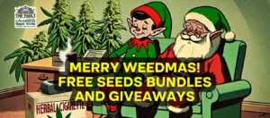 Chúc mừng lễ Weedmas! Gói hạt giống miễn phí và quà tặng