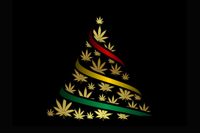 cannabis Christmas tree andrijamarkovic depositphotos