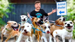 MrBeast's Dog Rescue Video Sparks Controversy Amidst Animal Abuse Allegations