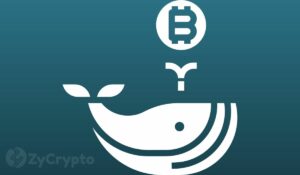 Mysterious Bitcoin Whale Buys Over 10,000 BTC In A Month