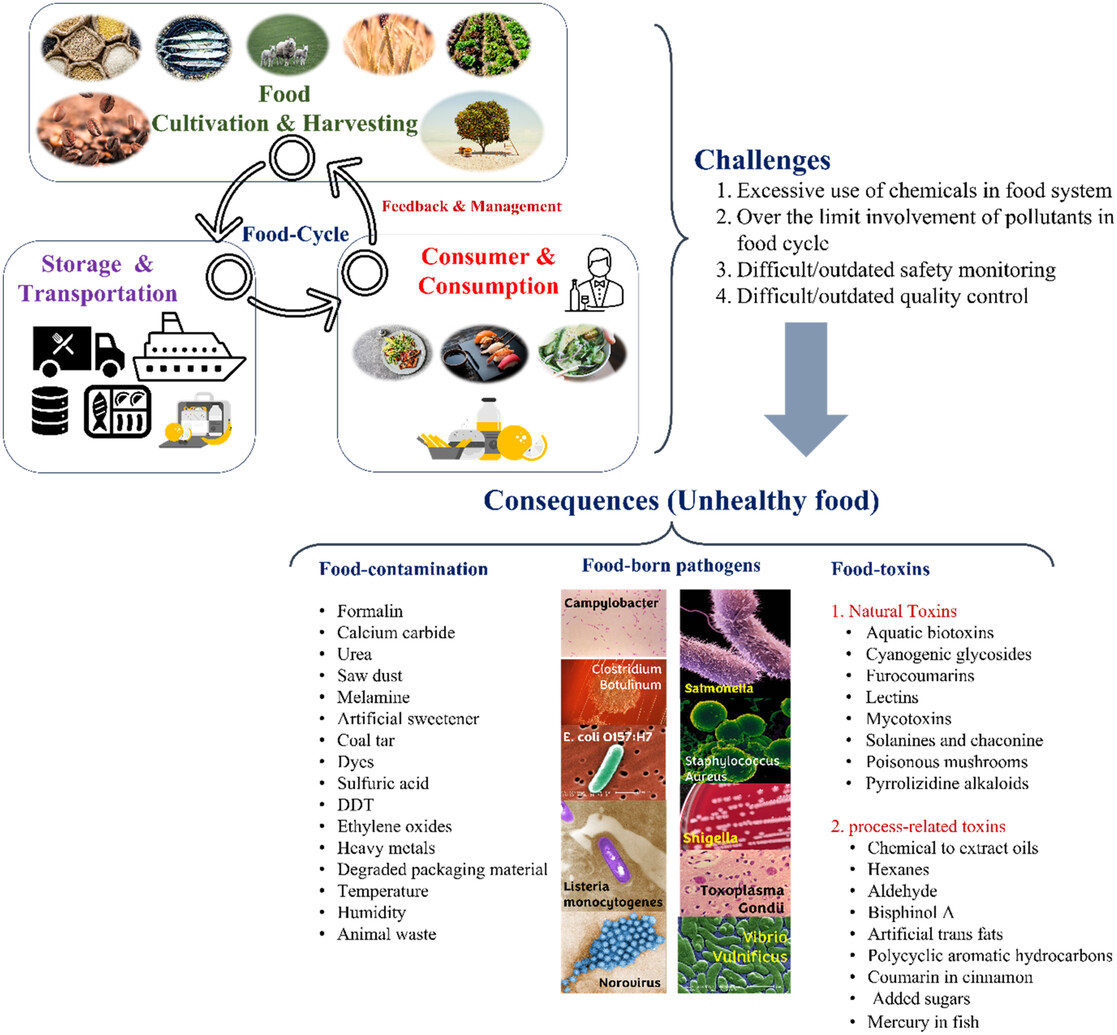 Cycle alimentaire et défis associés (contaminants, toxines et agents pathogènes) pour maintenir la sécurité et la qualité, nécessaires au bien-être de la santé