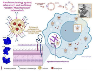 Nanocząsteczki o działaniu antybakteryjnym skracają czas leczenia gruźlicy