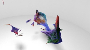 Data visualization shows a 3D abstraction of single cells from the early development of the mouse central nervous system. These data are from a two million-cell experiment tracing early mammalian growth at the single-cell level. Image courtesy of Cole Trapnell, Ph.D.

