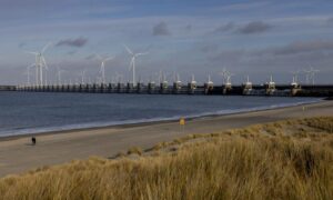 Nizozemska bo okrepila nadzor Severnega morja za odvračanje groženj morskega dna