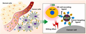 پیشرفت جدید در درمان هدفمند سرطان با استفاده از نانوذرات فعال کننده سیستم ایمنی