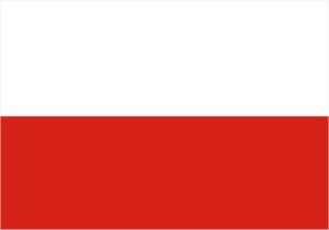 Edisi baru Musik & Hak Cipta dengan laporan negara Polandia