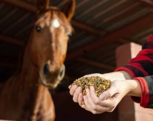 纽约州州长 Hochul 否决了允许在动物饲料中添加大麻籽的措施高时