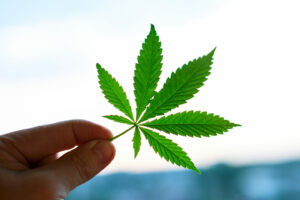 Kongressledamot i Ohio lämnar in federal lag om legalisering av cannabis | Höga tider
