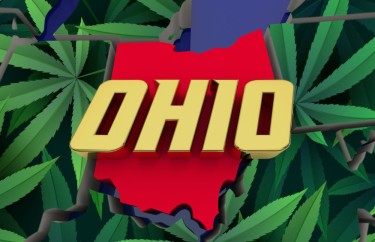 В Огайо зараз гарячий бардак з канабісом, тож чому республіканець із Огайо просто вніс законопроект про федеральну легалізацію марихуани?