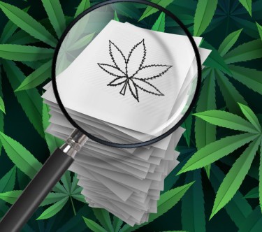 Over 32,000 10 cannabisstudier har blitt publisert i løpet av de siste XNUMX årene - fjerner myten om ikke nok forskning