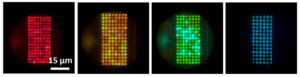 Q-Pixel développe le plus petit pixel couleur et présente le premier écran micro-LED couleur de 10,000 XNUMX PPI