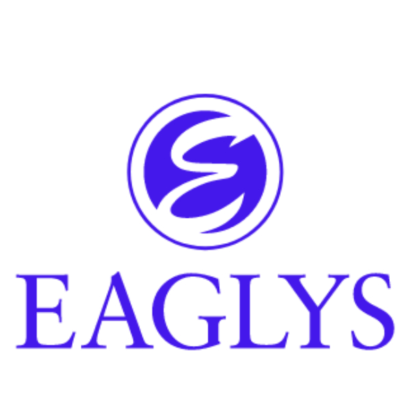 EAGLYS 公司 | NET ZERO 领导人峰会日本商务会议 2021 - 活动 - 日本贸易振兴机构 - JETRO