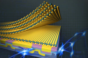 Researchers safely integrate fragile 2D materials into devices