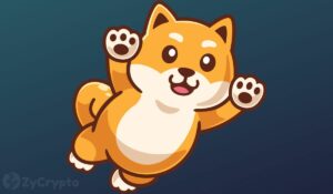 Shiba Inu Giant Whales Amass Trillions Of Tokens Amid Outlook For New SHIB All-Time High Price