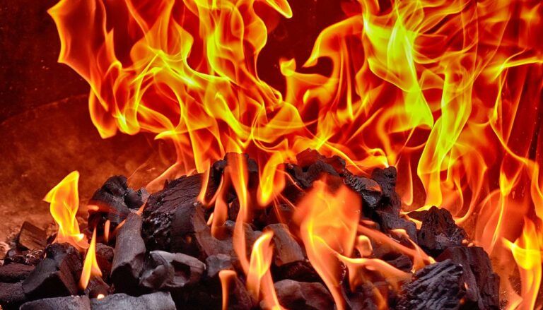 Shiba Inu Inferno: 8.6 بلین SHIB ٹوکنز گئے، برن ریٹ میں 160k% اضافہ