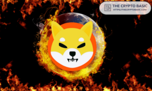 Líder de Shiba Inu afirma que queimar 99.9% de Shiba Inu não é impossível