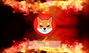 Shiba Inu on Fire, Team Executes 4th SHIB Burn of 8,471,583,707, Total Shibarium Now Whopping 33.8B+