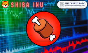 Shiba Inu : la principale bourse basée en Estonie va lister BONE