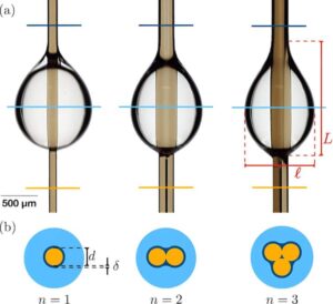 Sliding water droplets surprise scientists – Physics World