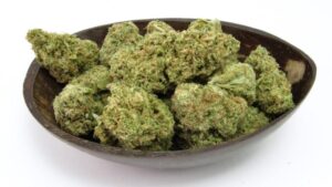 Fumez les variétés de cannabis les plus vendues de 2023