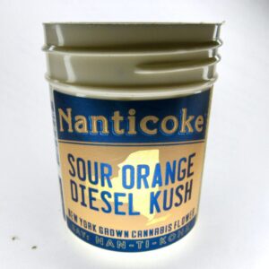 사워 오렌지 디젤 쿠시(Sour Orange Diesel Kush) - 뉴욕주 낸티코크, 2023년 가을