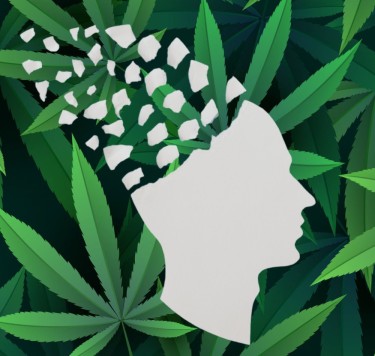 medical marijuana and mental cognition study