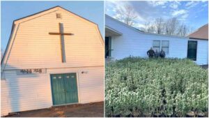 Tennessee Yetkilileri Kilisenin İçinde Ot Yetiştirme Alanı Buldu
