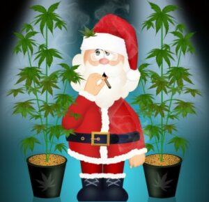 Les meilleurs chants de Noël sur le cannabis ? - Les bols simples, les douze jours de Kushmas, la clause Ganja arrive en ville ?