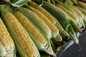 The Corn Exchange and Ukraine's Resilience