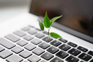 E-handelsaffärsfallet för hållbarhet - Förvandla trädplantering till vinst