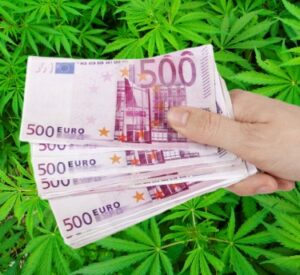 European Cannabis News Update - Den svarta marknaden är redan Europas största problem och de har inte ens börjat än