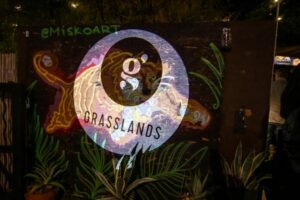 The Grasslands Party Photo Gallery