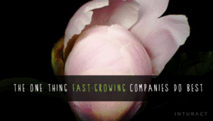 The One Thing Fast-Growing Companies Do Best