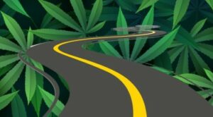 Vejen til ingensteds: Hvorfor social retfærdighed og cannabiserstatninger er en velmenende mirage