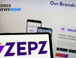 Zepz의 역동성 공개: 핀테크의 과제와 전략적 변화 탐색