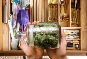 美国检察官敦促拜登将大麻保留为附表一毒品，因为贩毒集团秘密经营州合法种植园？