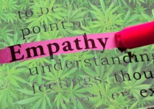 ¡Quiere más empatía y comprensión en el mundo, fume más marihuana! - Los consumidores de cannabis muestran más empatía en un nuevo estudio