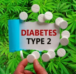هل تريد تقليل خطر الإصابة بمرض السكري من النوع الثاني بنسبة 2%؟ البدء في استخدام القنب يقول دراسة طبية جديدة!