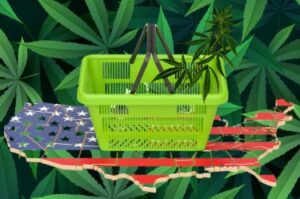 Quais são os melhores estados para iniciar um negócio de cannabis em 2024? - Especialistas jurídicos em maconha avaliam!