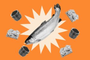 سمكة مليئة بالدولار: ما يمكن أن يتعلمه المسوقون من عثرة الكافيار من الجيل Z